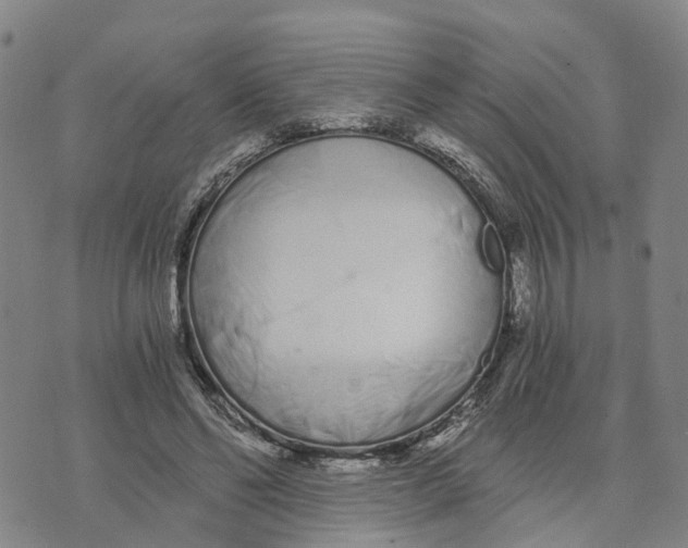 X0000073700494200608311733