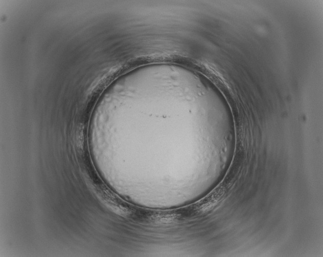 X0000073700495200608311733