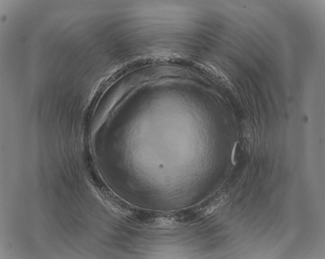 X0000073700496200608311733