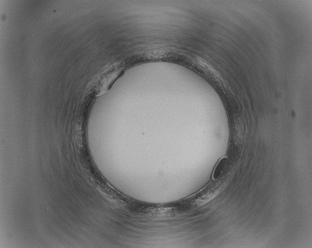 X0000073700497200608311733