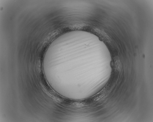 X0000073700498200608311733