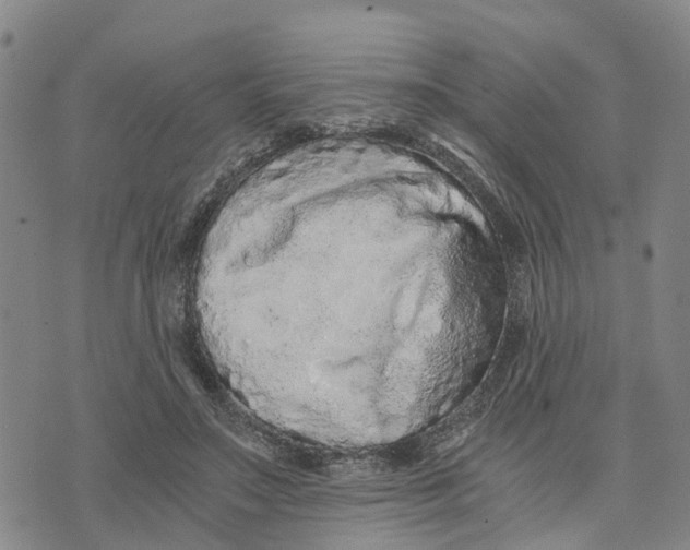 X0000073700499200608311733