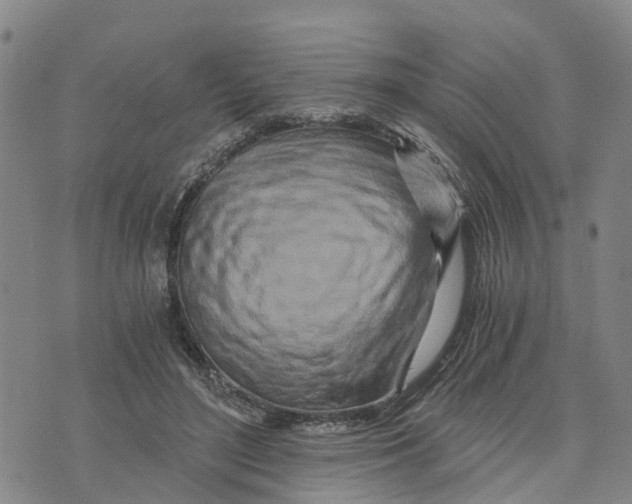 X0000073700500200608311733