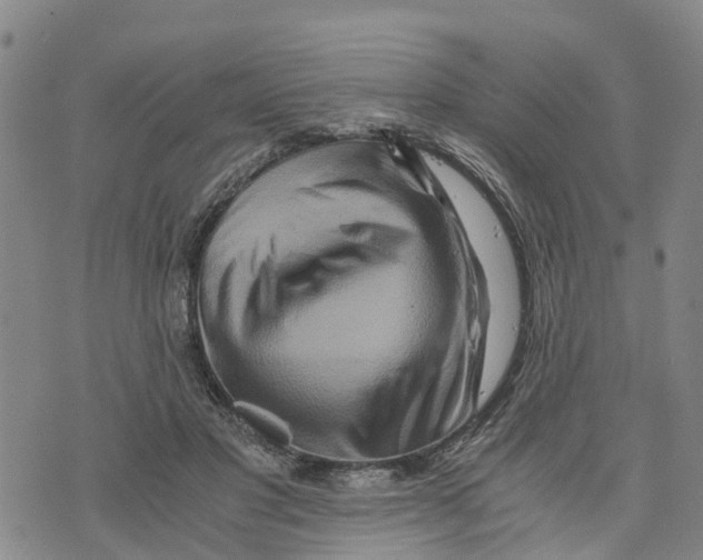 X0000073700501200608311733