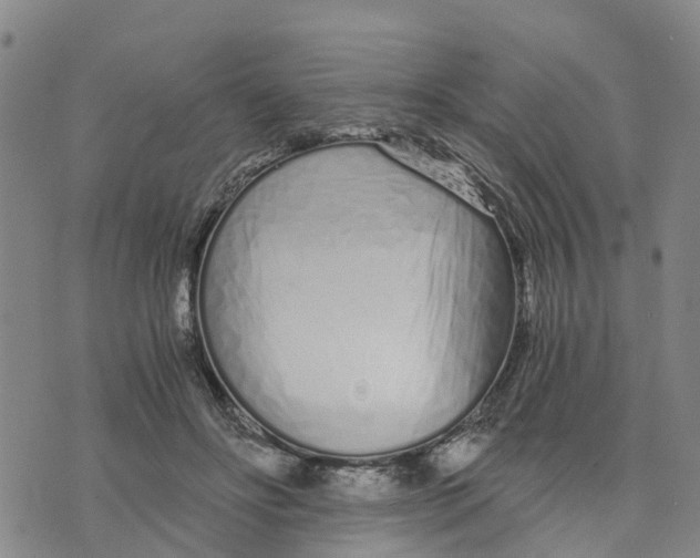 X0000073700502200608311733