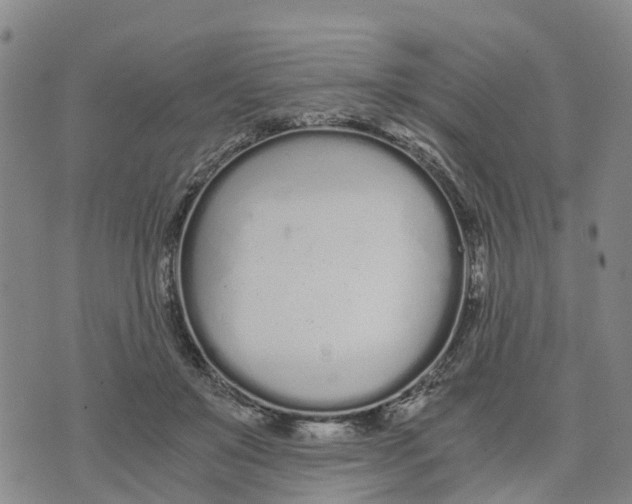 X0000073700503200608311733