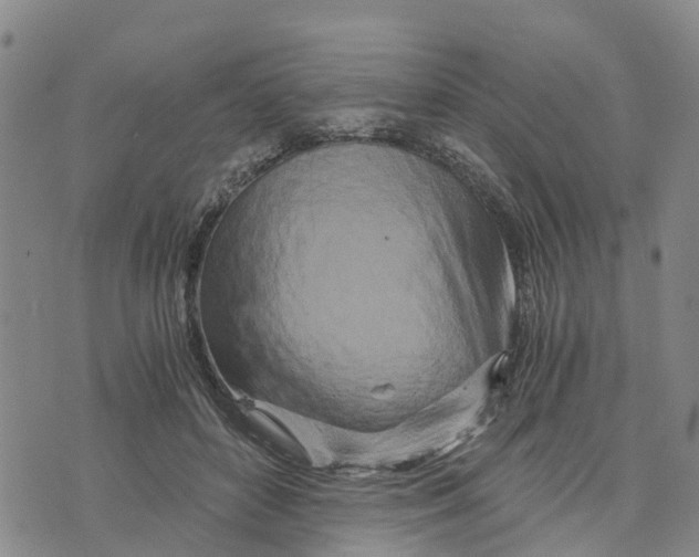 X0000073700504200608311733