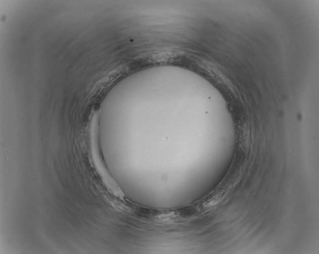 X0000073700505200608311733