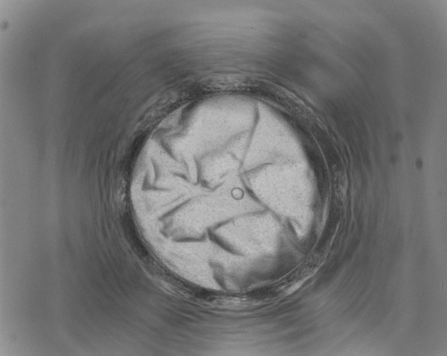 X0000073700507200608311733