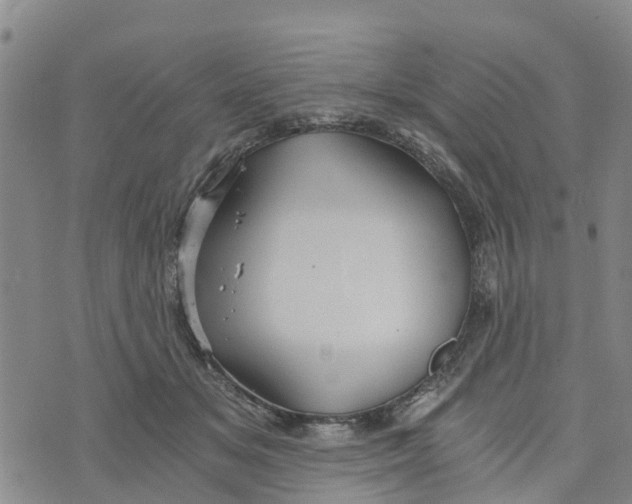 X0000073700509200608311733