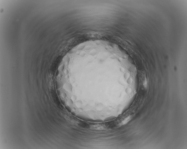 X0000073700511200608311733