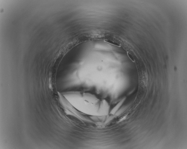 X0000073700512200608311733