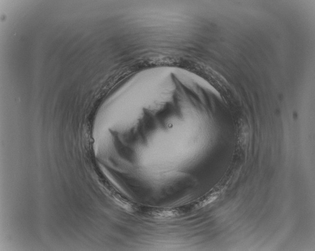 X0000073700513200608311733