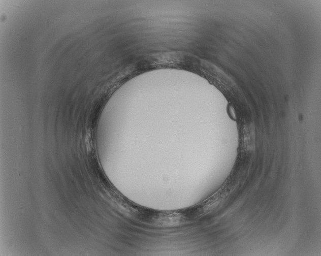 X0000073700514200608311733