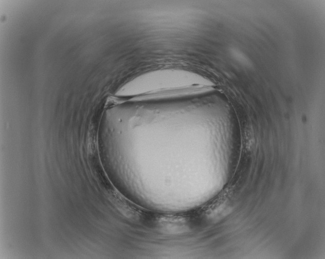 X0000073700515200608311733