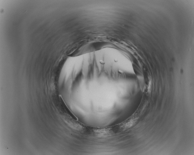 X0000073700516200608311733