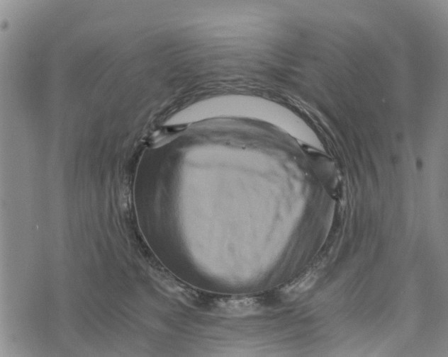 X0000073700517200608311733