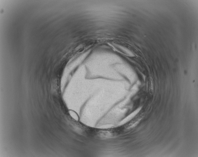 X0000073700519200608311733