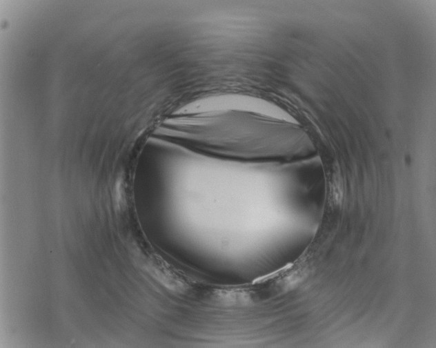 X0000073700520200608311733