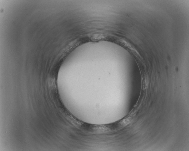 X0000073700521200608311733