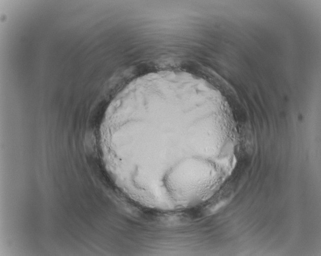 X0000073700523200608311733