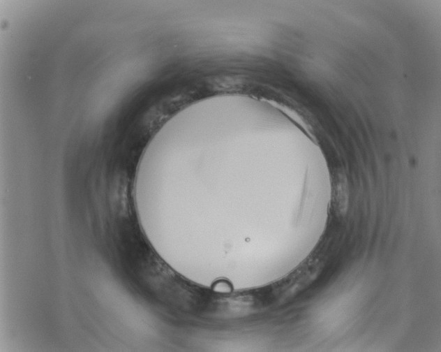 X0000073700525200608311733