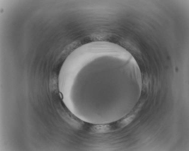 X0000073700526200608311733