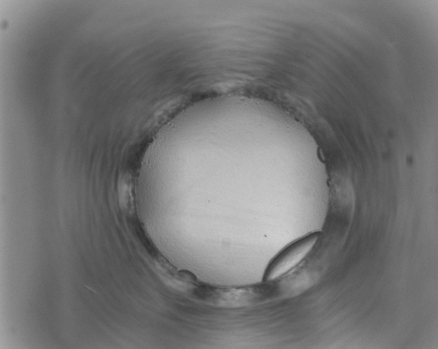 X0000073700527200608311733