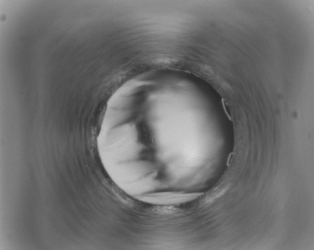 X0000073700528200608311733