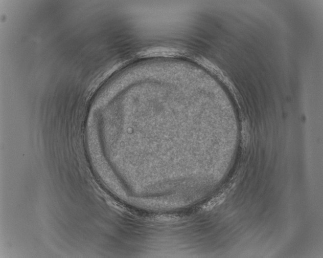 X0000073700529200608311732