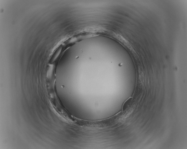 X0000073700530200608311732