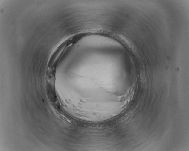 X0000073700532200608311732