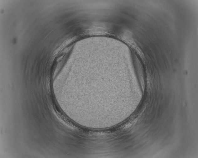 X0000073700533200608311732