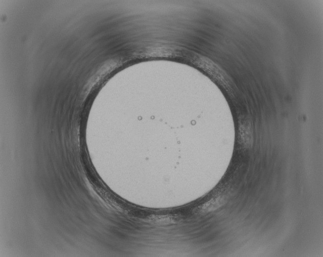 X0000073700534200608311732