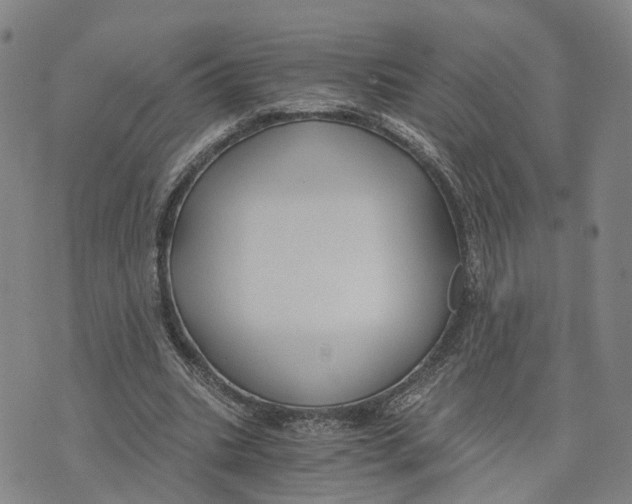 X0000073700535200608311732