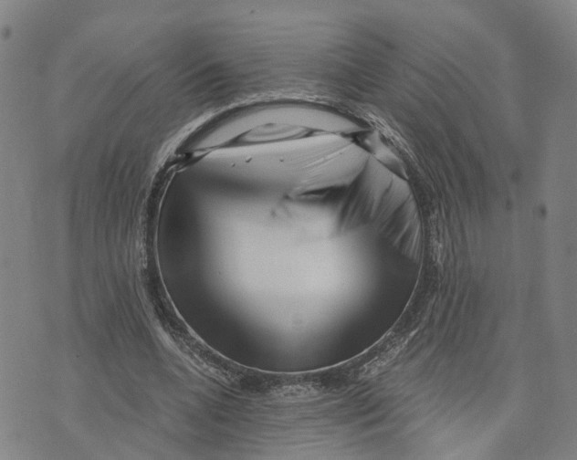 X0000073700536200608311732