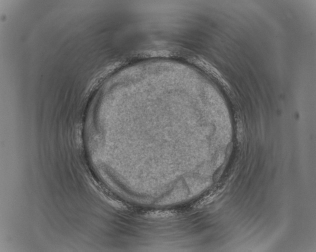 X0000073700537200608311732