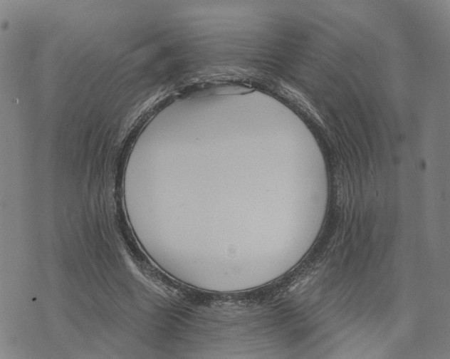 X0000073700538200608311732