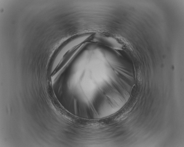 X0000073700540200608311732