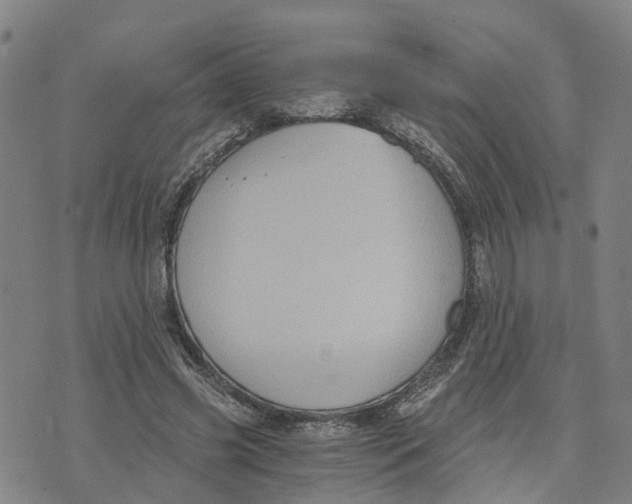 X0000073700541200608311732