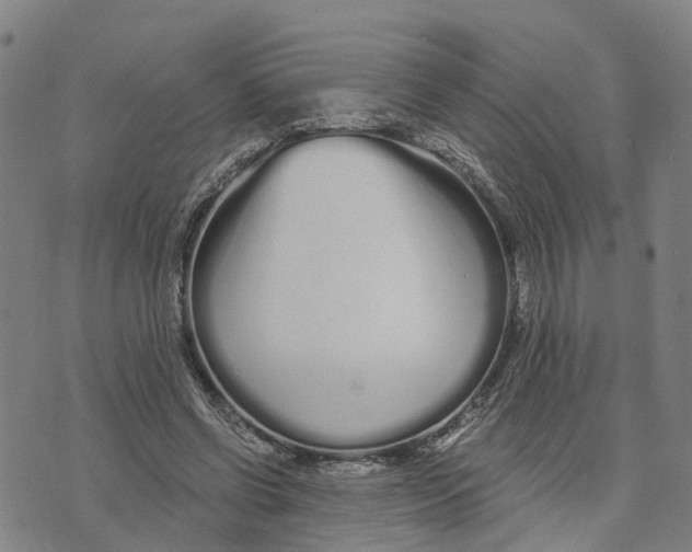 X0000073700542200608311732