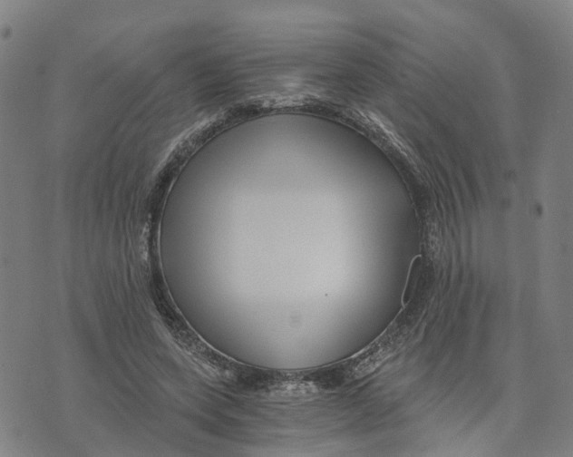 X0000073700543200608311732