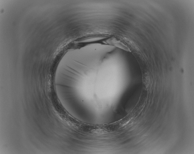 X0000073700544200608311732