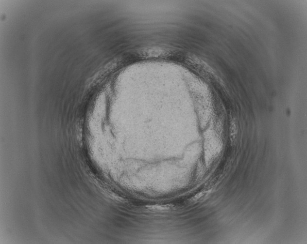 X0000073700545200608311732