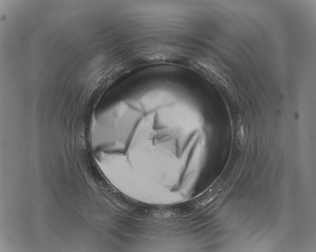 X0000073700547200608311732