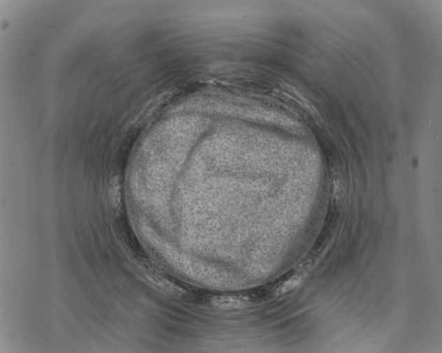 X0000073700549200608311732