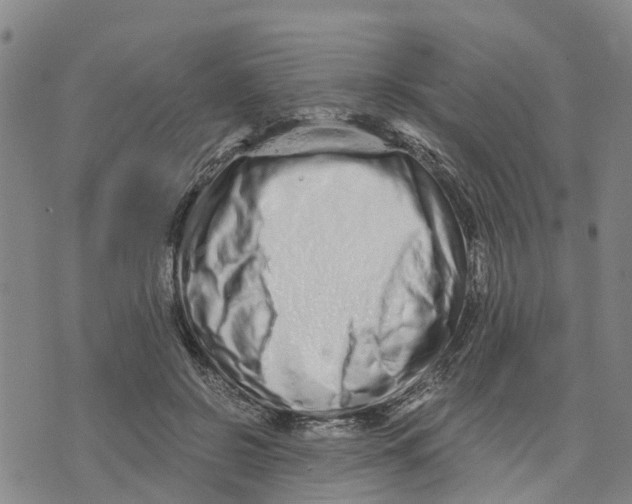 X0000073700550200608311732