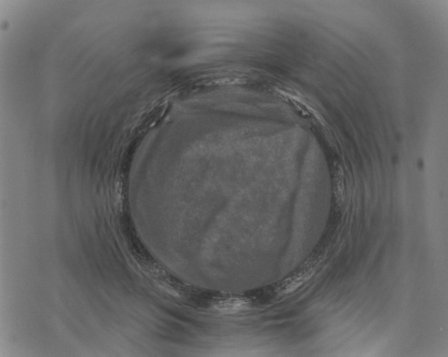 X0000073700551200608311732