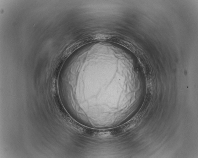 X0000073700554200608311732