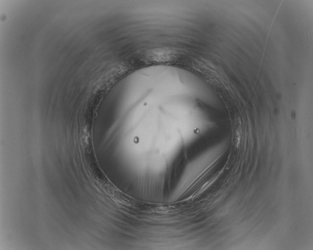 X0000073700555200608311732